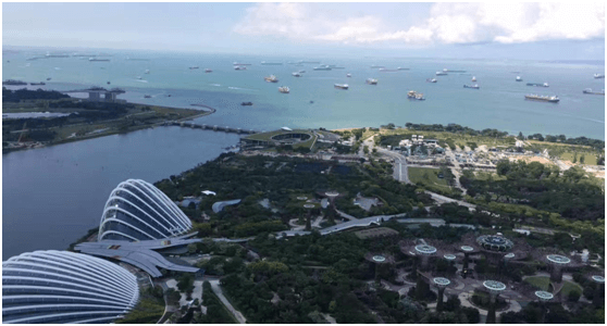 记公海彩船管理进步奖获得者新马六天游